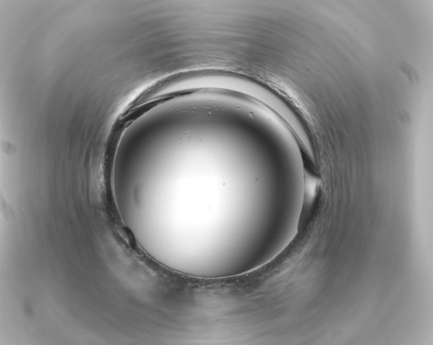 X0000091200532200708091309