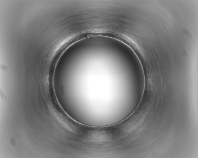 X0000091200535200708091309