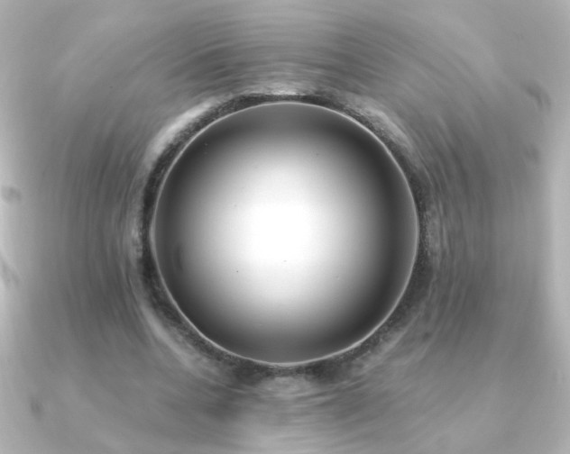 X0000091200536200708091309