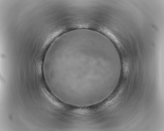 X0000091200537200708091309