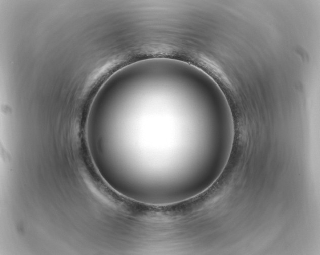 X0000091200538200708091309