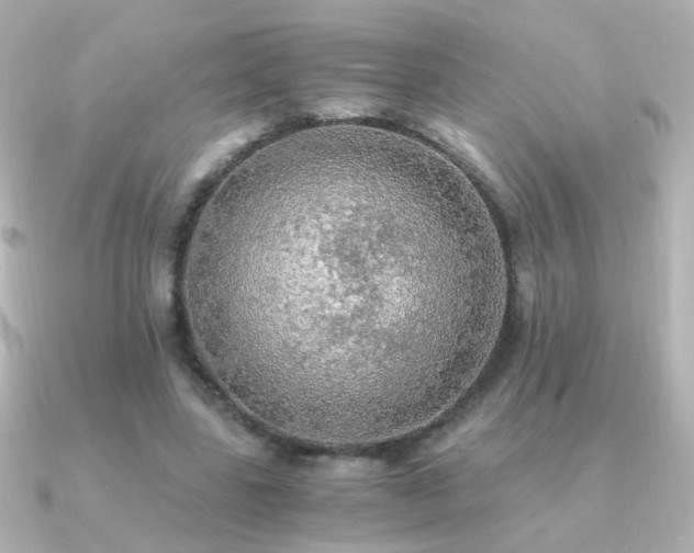 X0000091200539200708091309