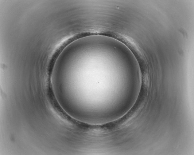 X0000091200540200708091309