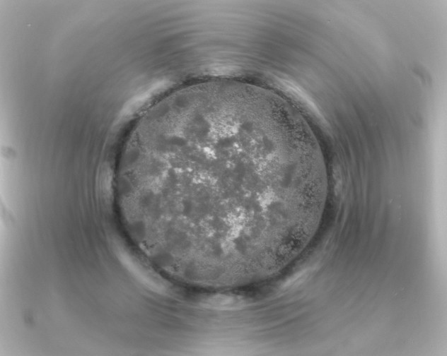 X0000091200542200708091309