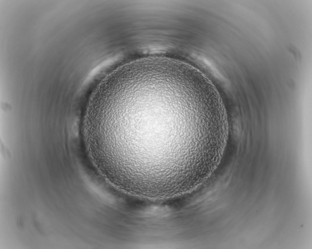X0000091200543200708091309