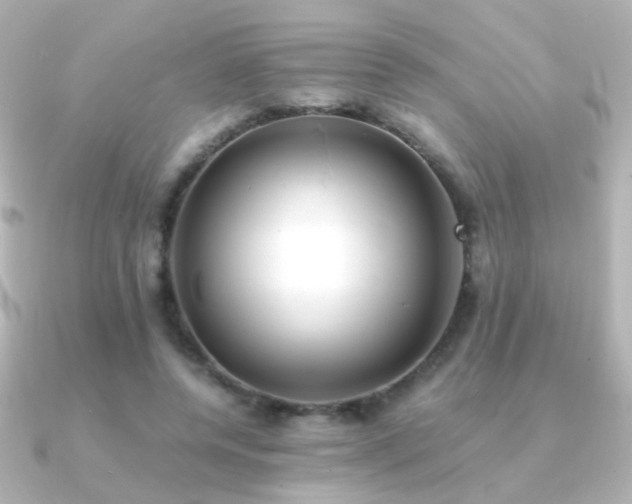 X0000091200544200708091309