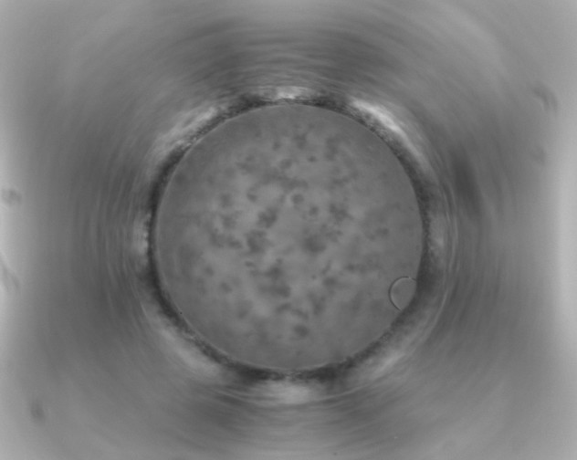 X0000091200545200708091309