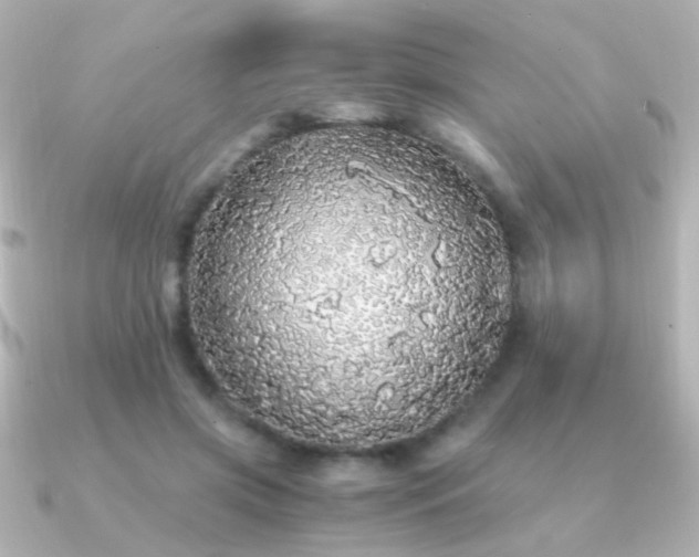 X0000091200549200708091309