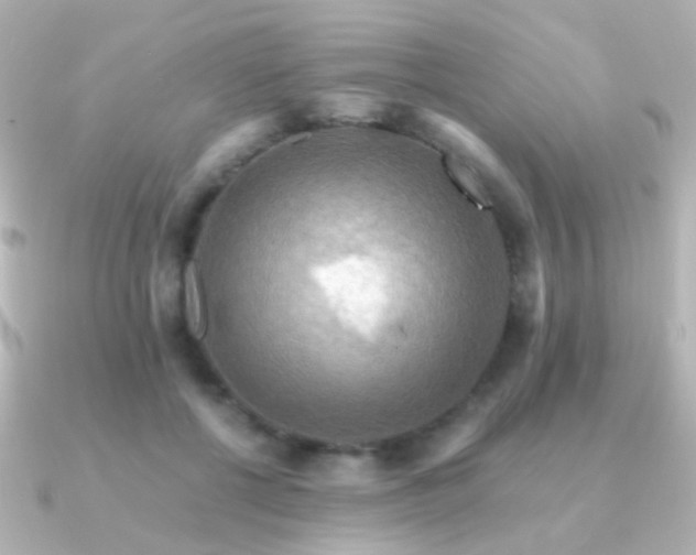 X0000091200552200708091309