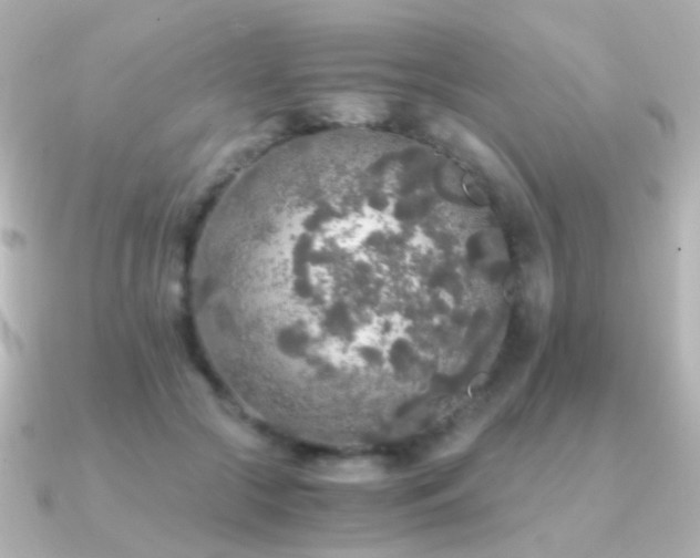X0000091200553200708091309