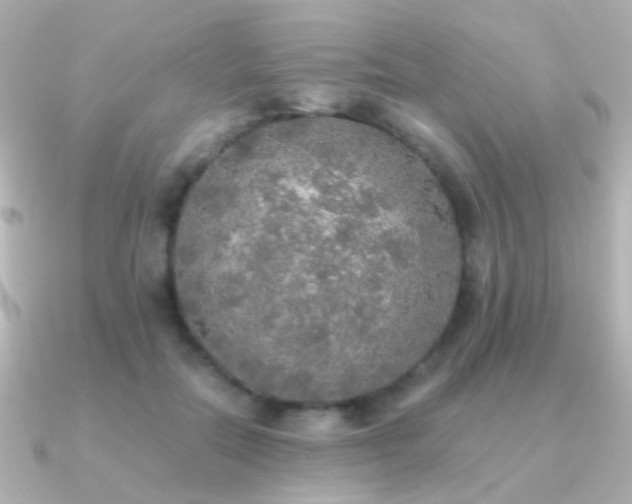 X0000091200554200708091309