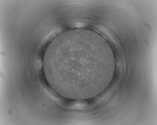 X0000091200555200708091309