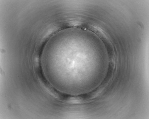 X0000091200556200708091309
