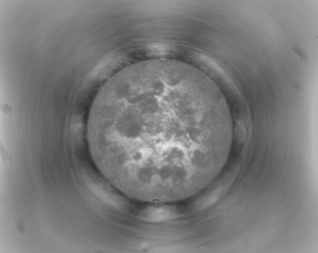 X0000091200557200708091309