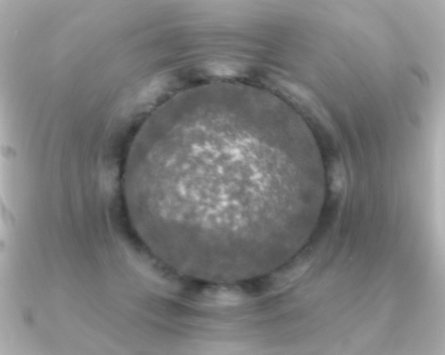 X0000091200559200708091309
