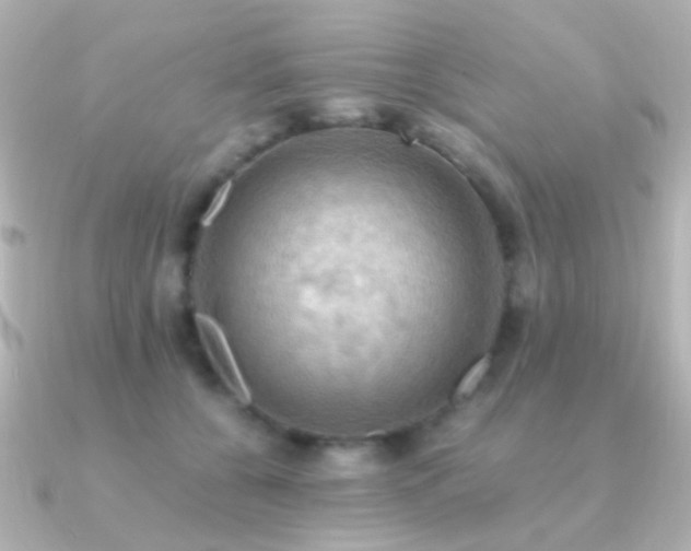 X0000091200560200708091309