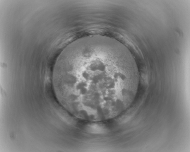 X0000091200561200708091309