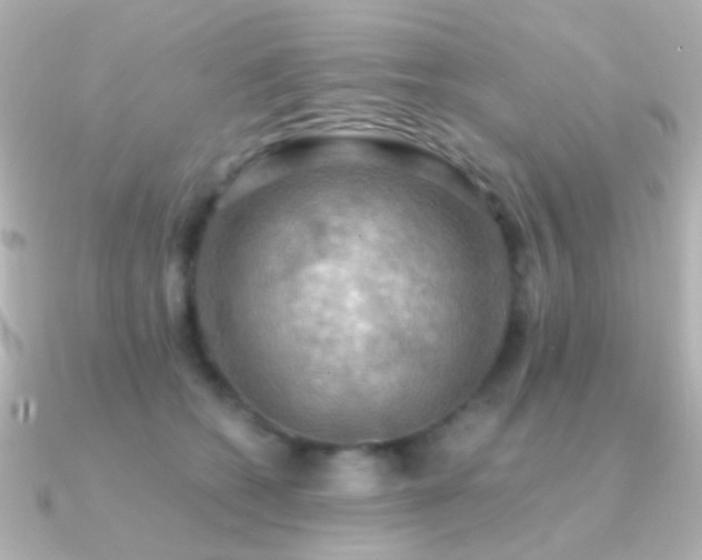 X0000091200562200708091309