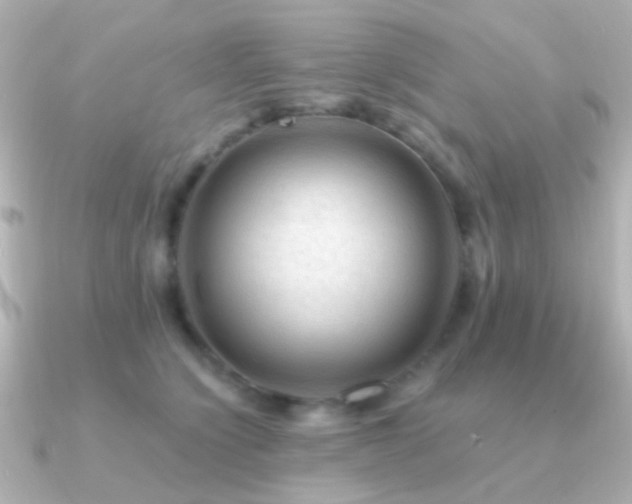 X0000091200564200708091309