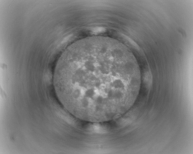 X0000091200565200708091309