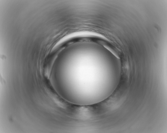 X0000091200566200708091309