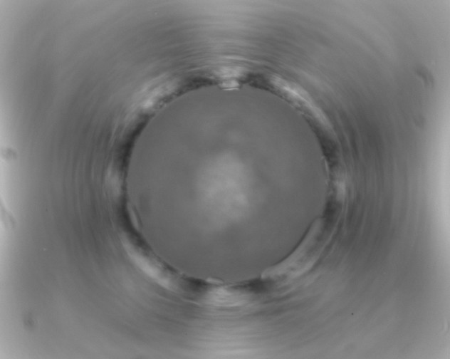 X0000091200568200708091309