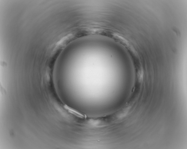 X0000091200570200708091309