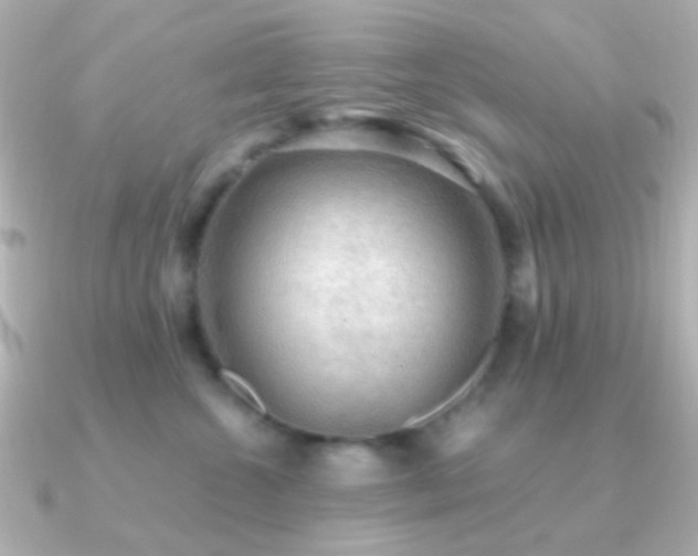X0000091200572200708091309