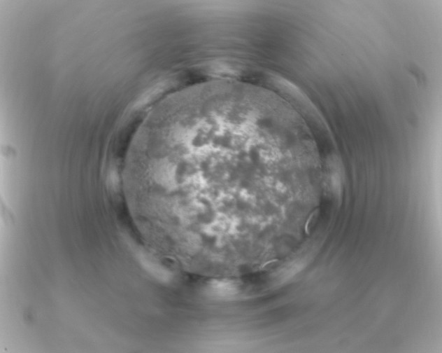 X0000091200573200708091309