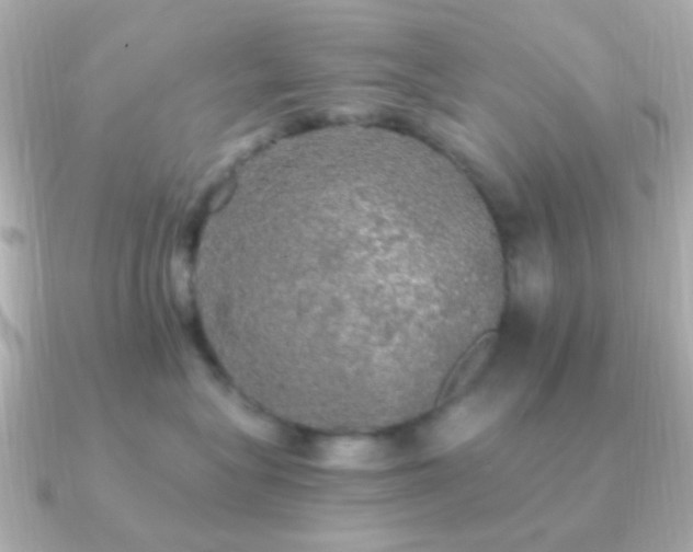 X0000091200575200708091309