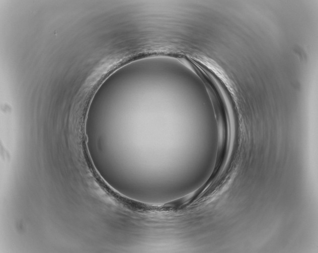 X0000091200577200708091308