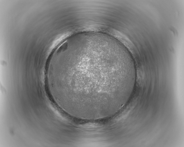 X0000091200578200708091308