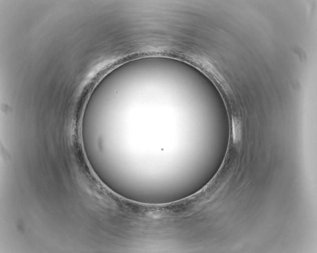 X0000091200579200708091308