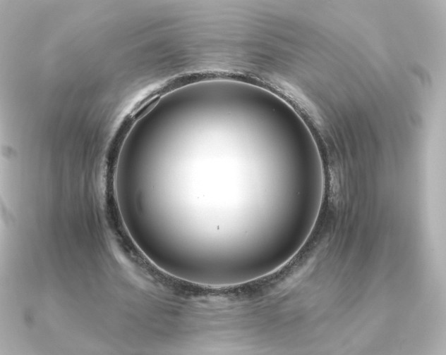 X0000091200580200708091308