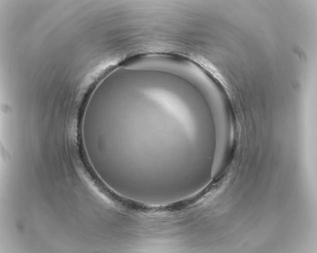 X0000091200581200708091308