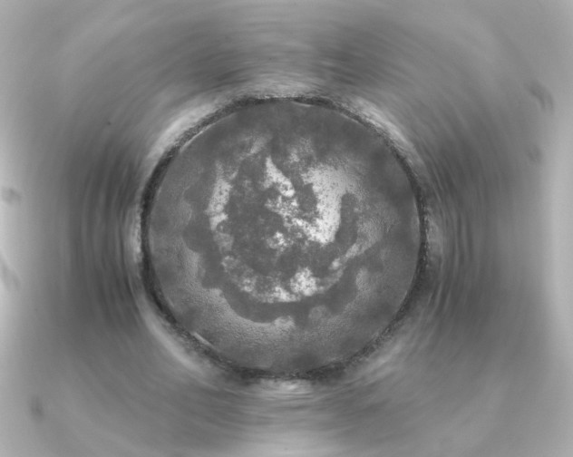 X0000091200582200708091308