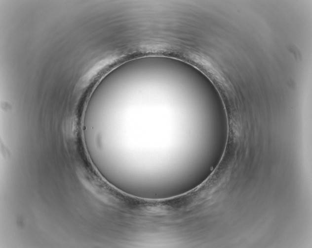 X0000091200583200708091308