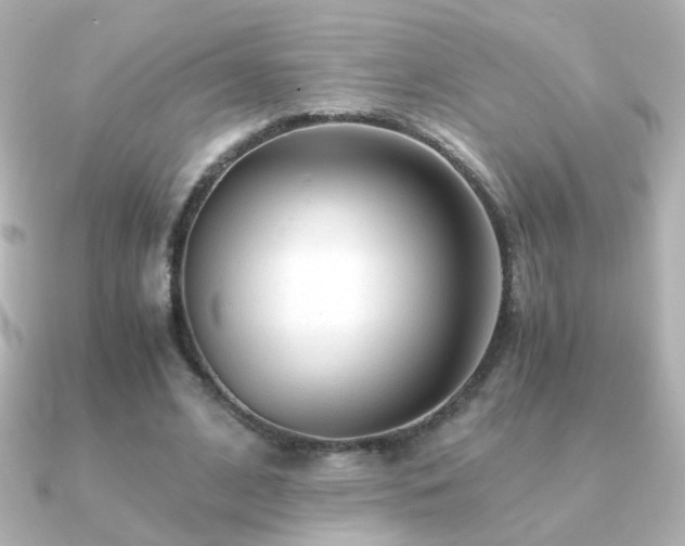 X0000091200584200708091308