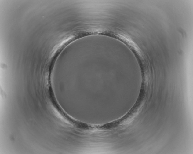 X0000091200585200708091308