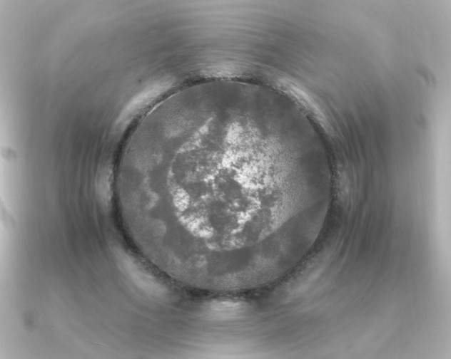 X0000091200586200708091308