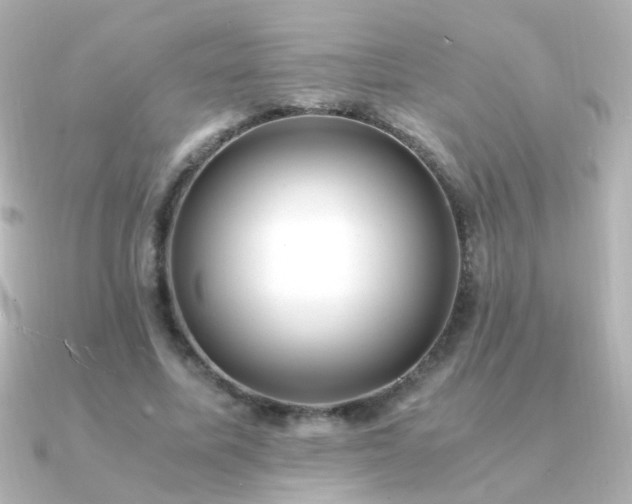 X0000091200587200708091308