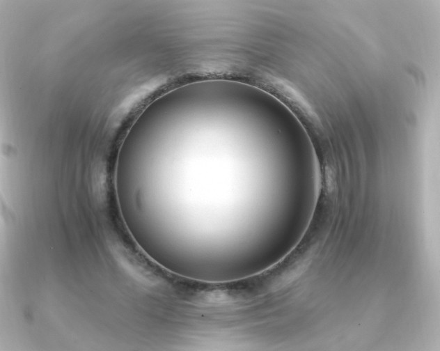 X0000091200588200708091308