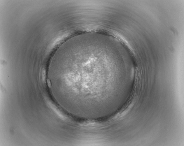 X0000091200589200708091308