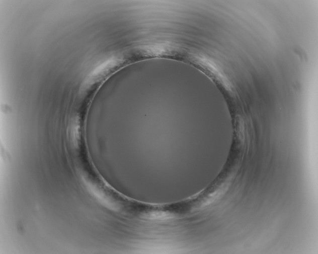 X0000091200590200708091308