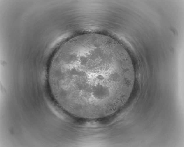 X0000091200591200708091308