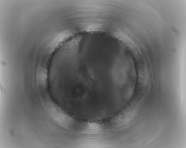 X0000091200592200708091308
