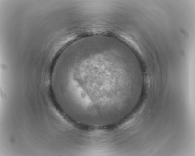 X0000091200593200708091308