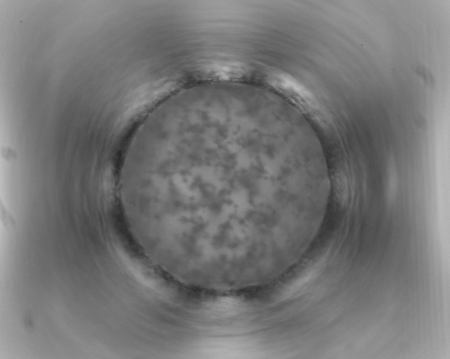 X0000091200594200708091308