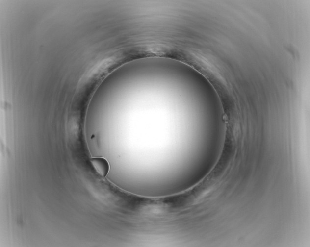 X0000091200595200708091308