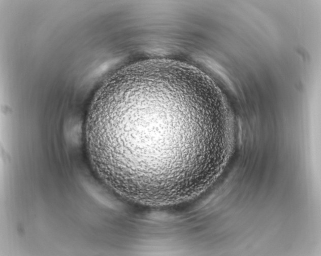 X0000091200596200708091308